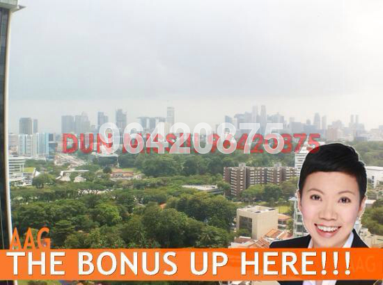 Rochelle At Newton (D11), Condominium #38504132